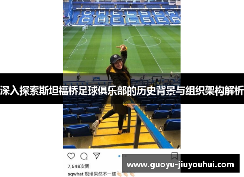 深入探索斯坦福桥足球俱乐部的历史背景与组织架构解析 深入探索斯坦福桥足球俱乐部的历史背景与组织架构解析