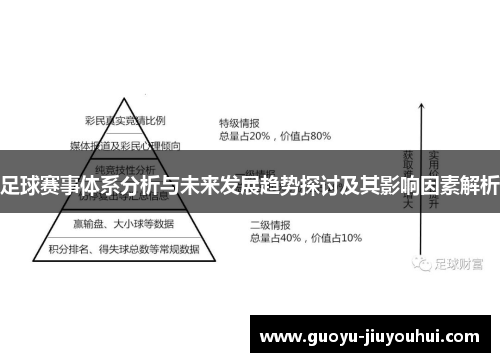 足球赛事体系分析与未来发展趋势探讨及其影响因素解析