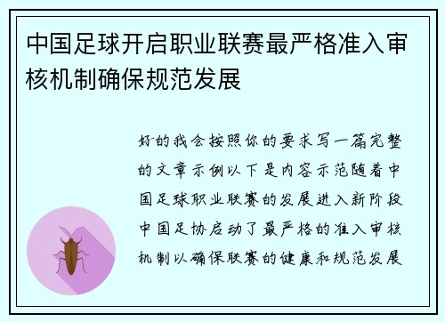 中国足球开启职业联赛最严格准入审核机制确保规范发展